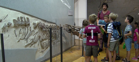 Kinder in der Paläontologischen Sammlung