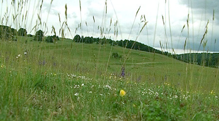 Biosphärengebiet Schwäbische Alb