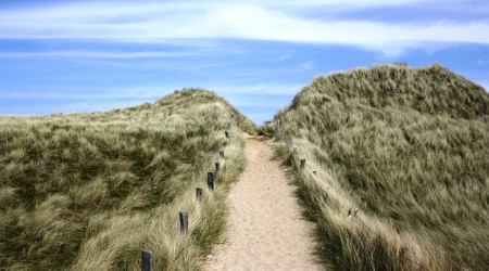Grashügel mit Sandweg auf Sylt