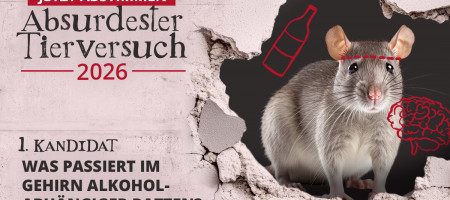 Flyer Absurdester Tierversuch 2026